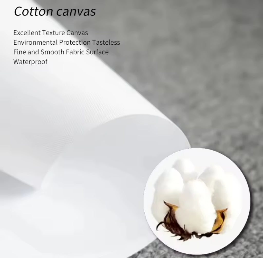 Messi Argentina Canvas Print