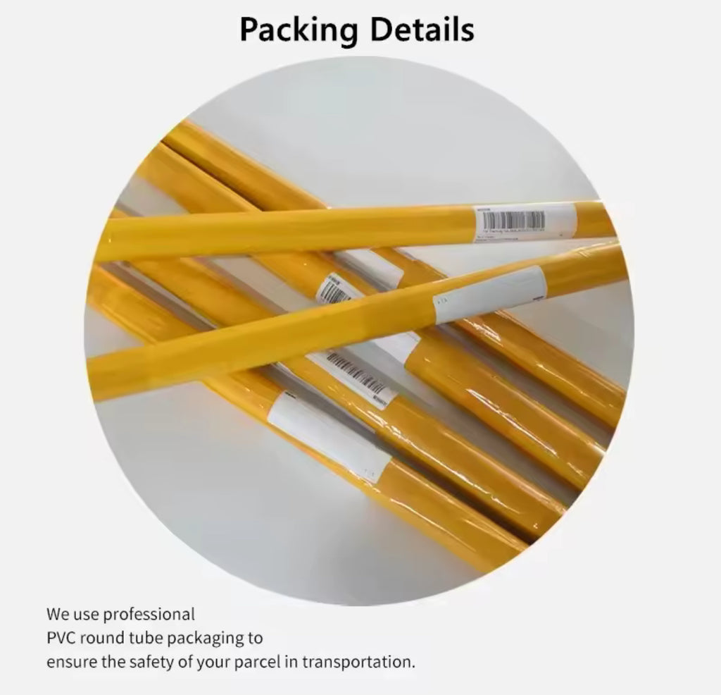 Messi Argentina Canvas Print